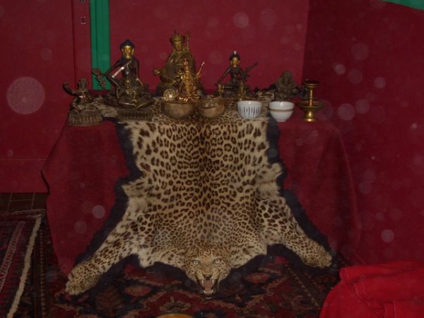 Ngala Rig&rsquo; & Tsalgy&uuml;r Wangmo